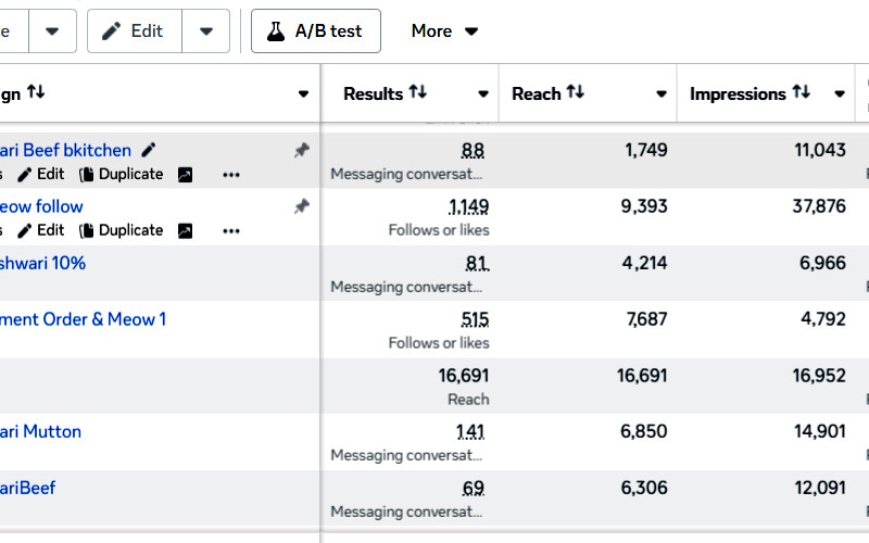 Facebook Ads Campaign Proof | High Converting Results – VioletCrows